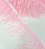 Перо страус розовое